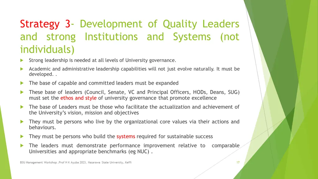 strategy 3 development of quality leaders