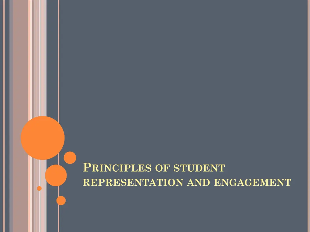 p rinciples of student representation