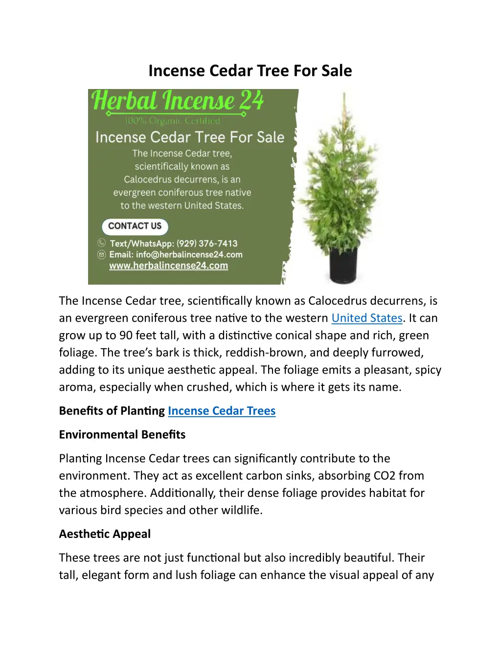 incense cedar tree for sale
