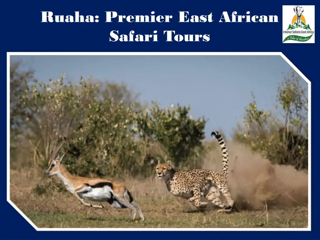 ruaha premier east african safari tours 1