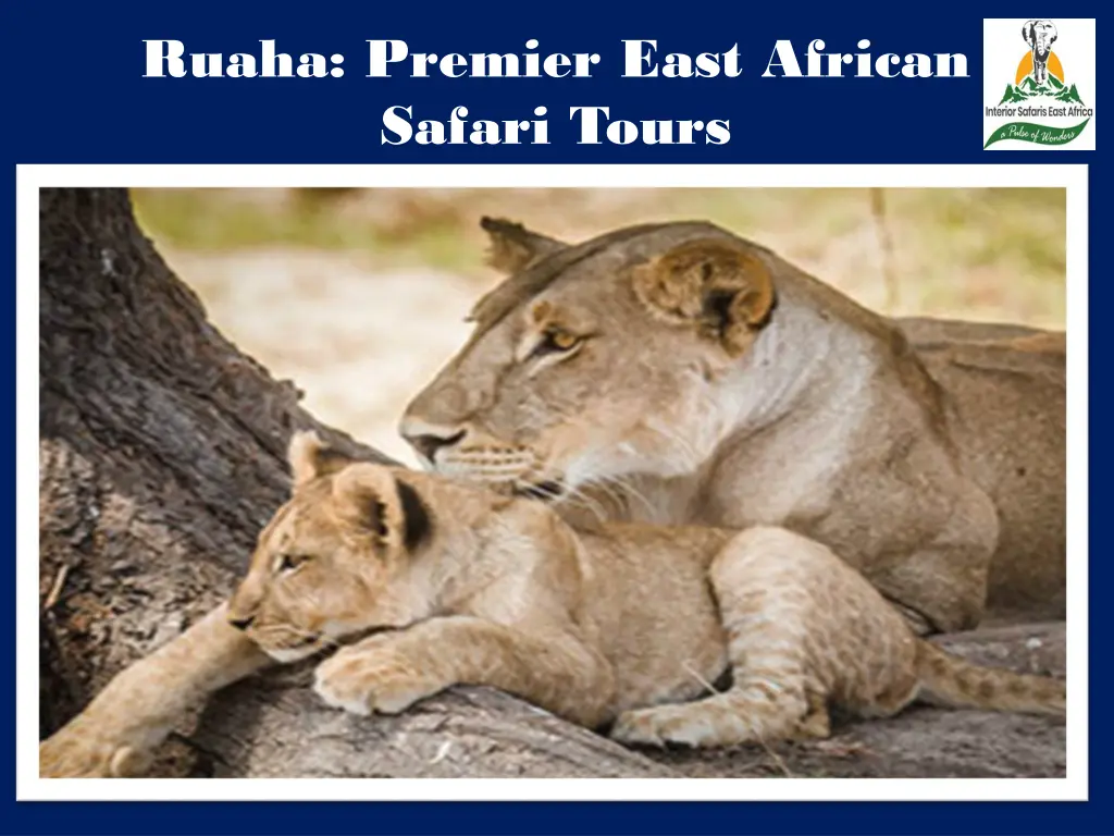 ruaha premier east african safari tours 2