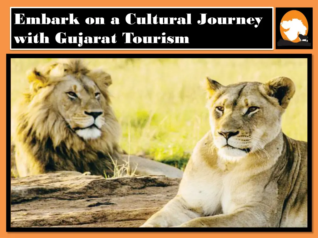 embark on a cultural journey with gujarat tourism 2