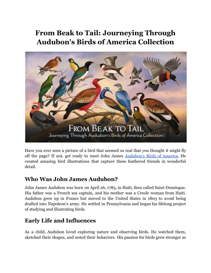 from beak to tail journeying through audubon