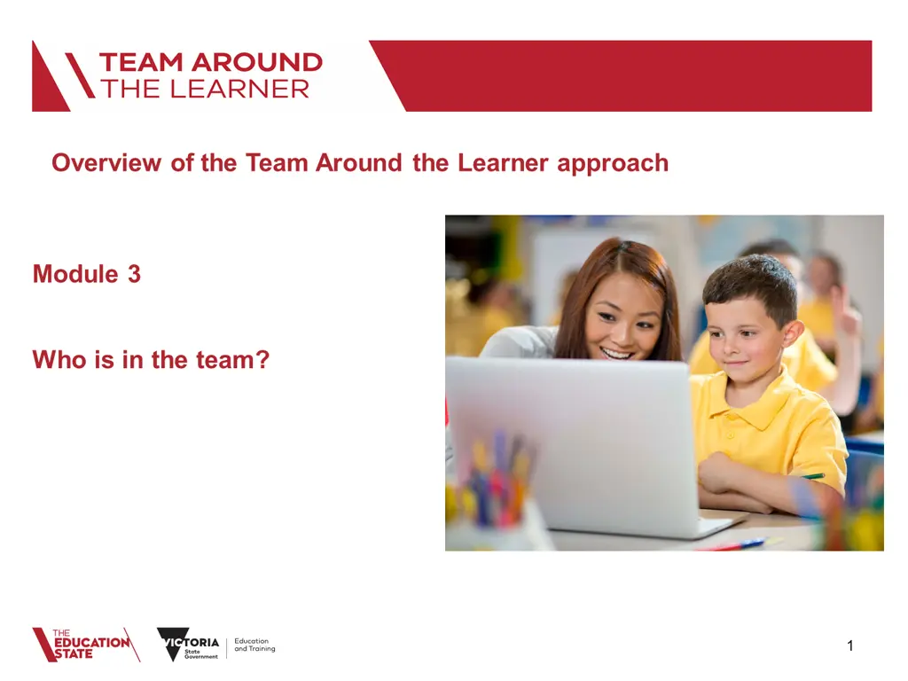 overview of the team around the learner approach