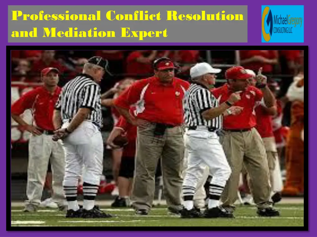 professional conflict resolution and mediation 2