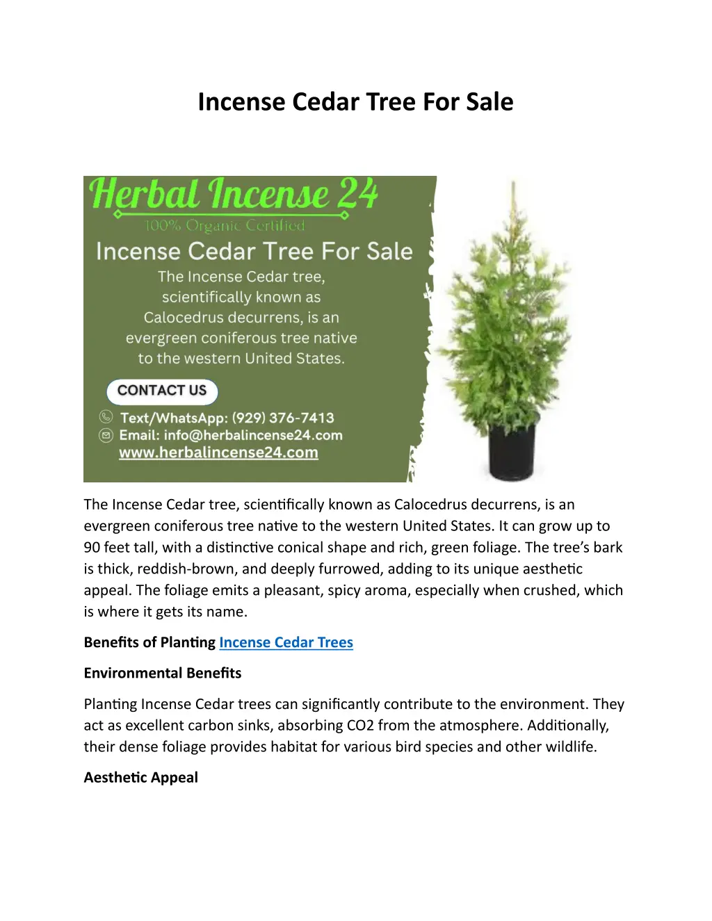 incense cedar tree for sale