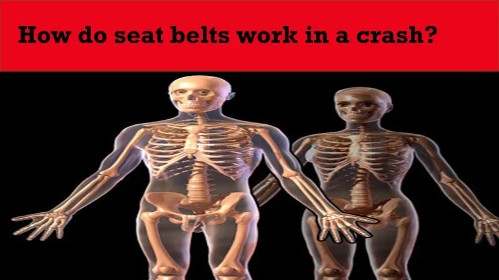 how do seat belts work in a crash