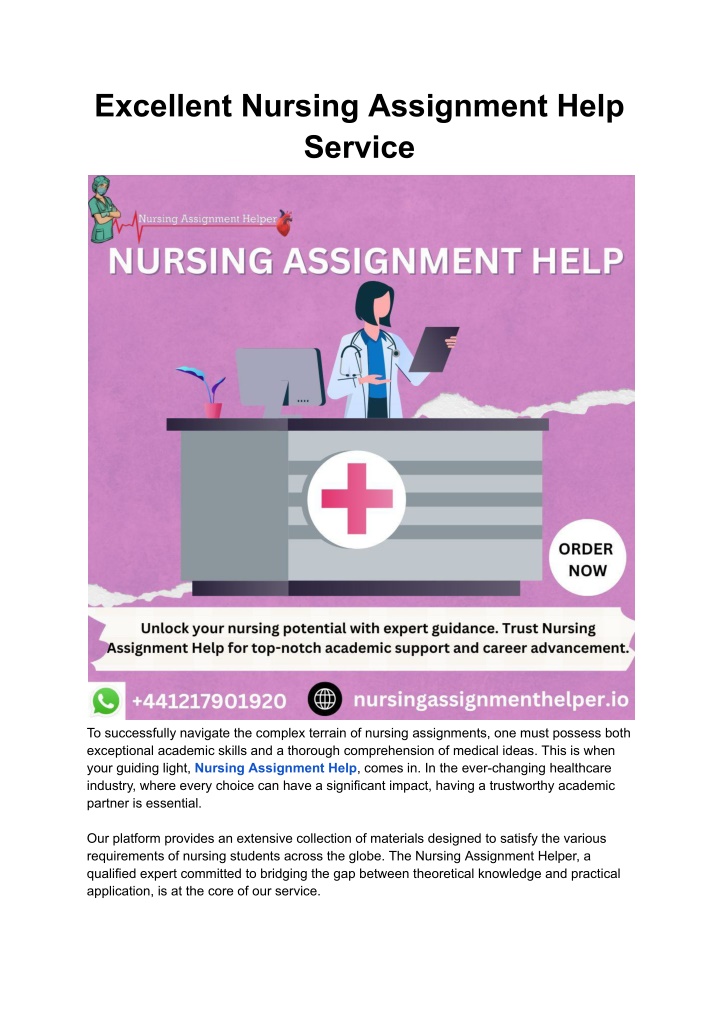 excellent nursing assignment help service