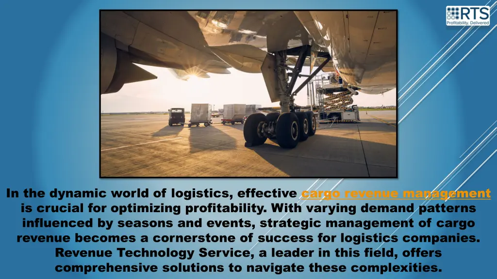 in the dynamic world of logistics effective cargo