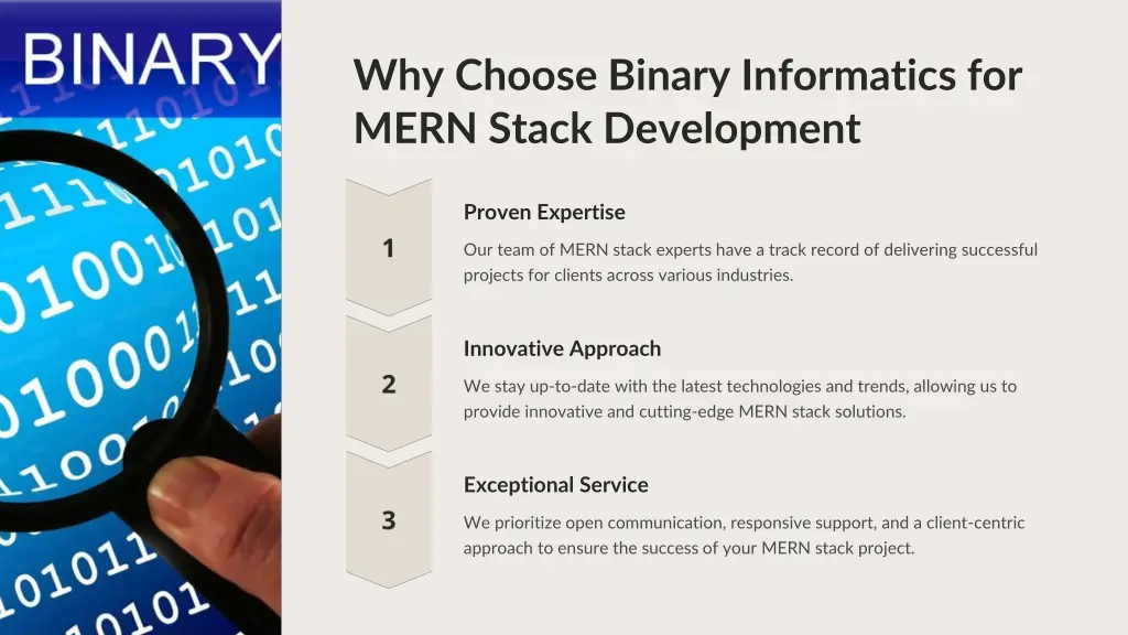 why choose binary informatics for mern stack